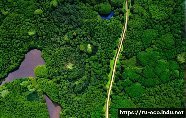 국제 생태 연구 협력 - A detailed satellite view of the Amazon rainforest showing vast green canopy with patches of defores...
