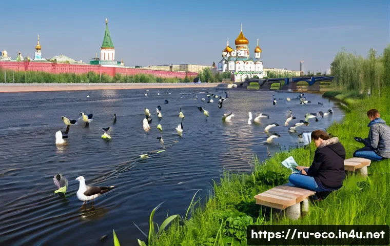 7 эффективных способов сохранить городскую экологию и улучшить качество жизни 3 도시 생태학 관련 이미지 1
