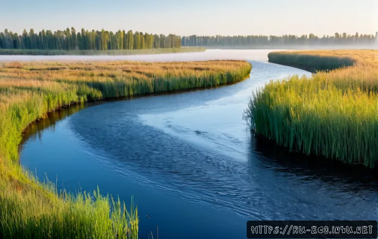 Home 17 수자원 보전과 생태계 - Photorealistic wide landscape of a protected freshwater wetland in central Russia, clear river windi...